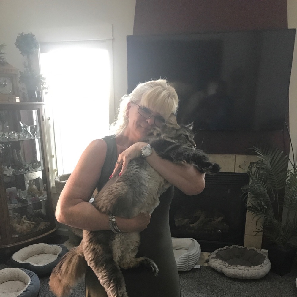 Great items!  Brand new items!